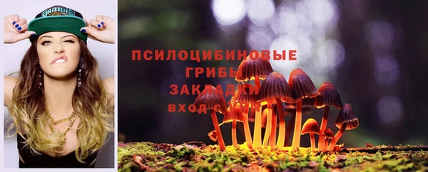 дживик Алзамай