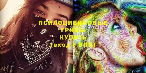 не бодяженный Алексин