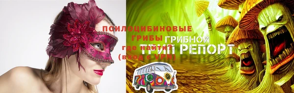 дживик Алзамай